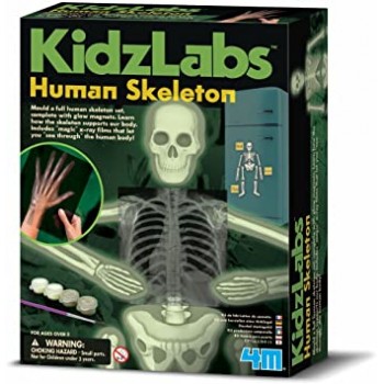 https://www.lesparisinnes.es/3953-thickbox_atch/glow-human-skeleton.jpg